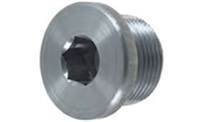 BN42-22X1.5 DIN 908 Flanged Plug 22 x 1.5