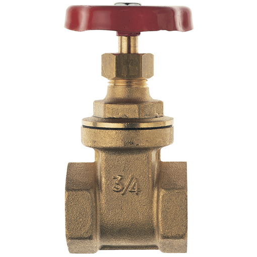GV157-2 Brass Gate Valve 2 BSPP