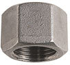 HBC-14 Hex Cap 1/4 BSPP  316SS