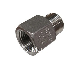 K307NG-12 Ext Adapter 1/2 NPT x 1/2 BSPP  316SS