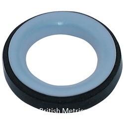 PTFE-212 PTFE Seal 2 1/2 Inch