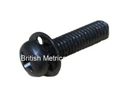 JIS B1188D Pan w/Int Lock Washer BZ 4x16