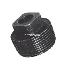 BSPT Cored Plug