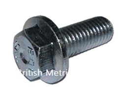 FLANGED HEX HEAD