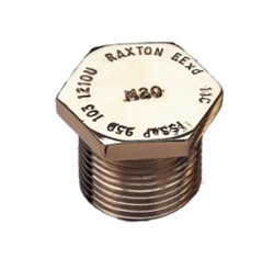 RAXTON PLUGS