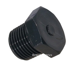 UPVC Plug 1 BSP