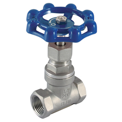 Gate Valve 1 BSPP 316SS